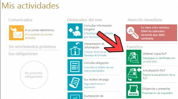 obtener copia del rut