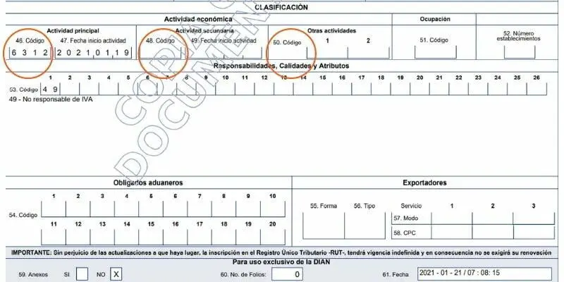 Cuál es el código CIIU en el RUT Cuál es el código CIIU en el RUT