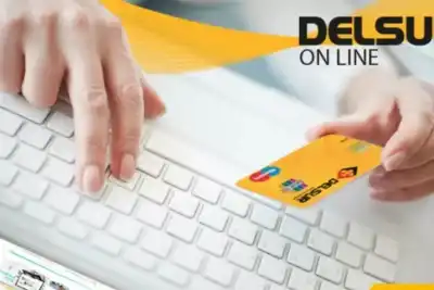 DELSUR Online que es y como funciona