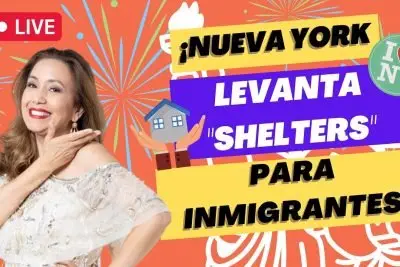 requisitos para vivir en un shelter