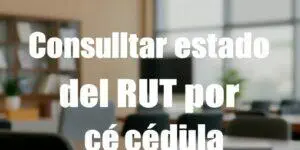 Consultar estado del RUT por cédula
