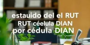 Consultar estado del RUT por cédula DIAN