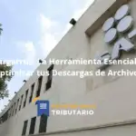Descargarrut: La Herramienta Esencial Para Optimizar Tus Descargas De Archivos