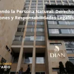 Entendiendo La Persona Natural: Derechos, Obligaciones Y Responsabilidades Legales