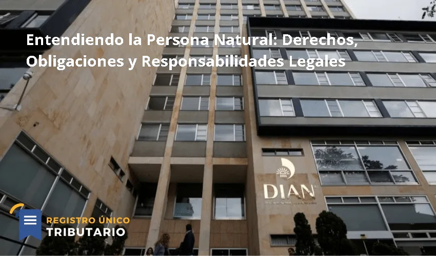 Entendiendo La Persona Natural: Derechos, Obligaciones Y Responsabilidades Legales