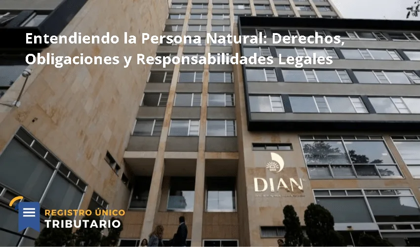 Entendiendo La Persona Natural: Derechos, Obligaciones Y Responsabilidades Legales