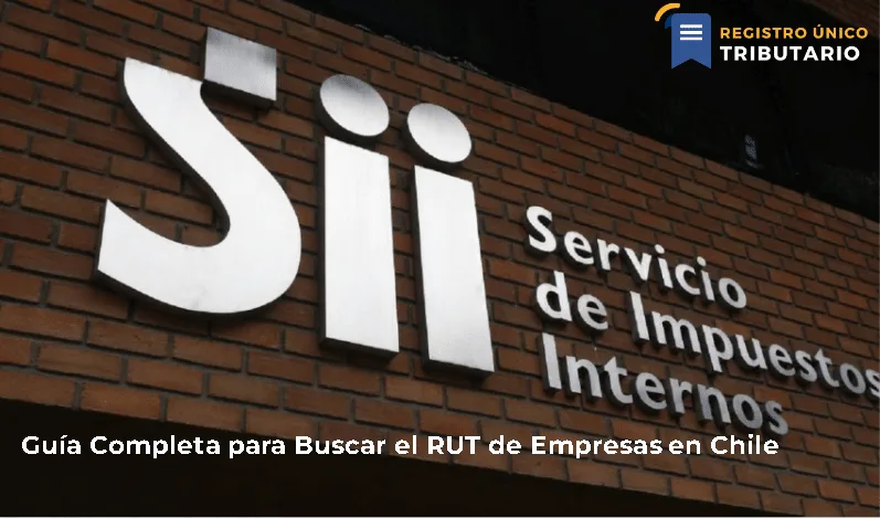 Guía Completa Para Buscar El Rut De Empresas En Chile