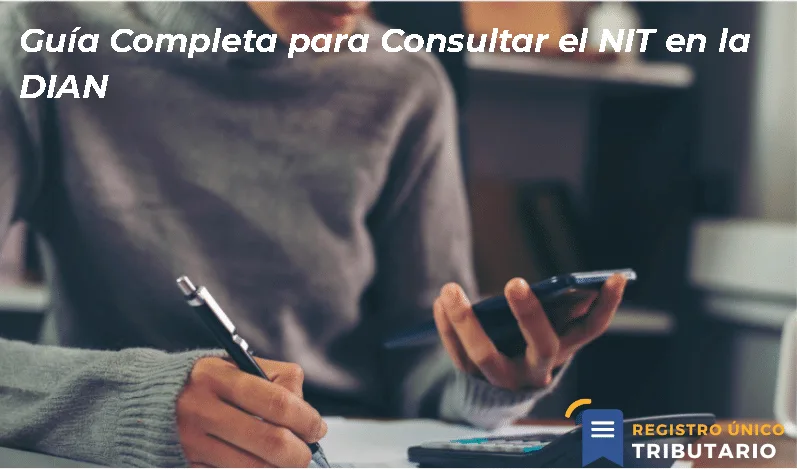 Guía Completa Para Consultar El Nit En La Dian