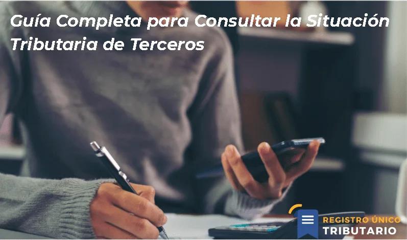 Guía Completa Para Consultar La Situación Tributaria De Terceros
