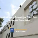 Guía Completa Para Descargar Dian Rut: Pasos Y Consejos Esenciales