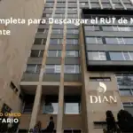 Guía Completa Para Descargar El Rut De Muisca Fácilmente