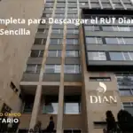 Guía Completa Para Descargar El Rut Dian De Manera Sencilla