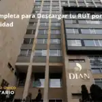 Guía Completa Para Descargar Tu Rut Por Cédula De Identidad