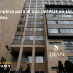 Guía Completa Para El Uso Del Rut En Usuarios Registrados