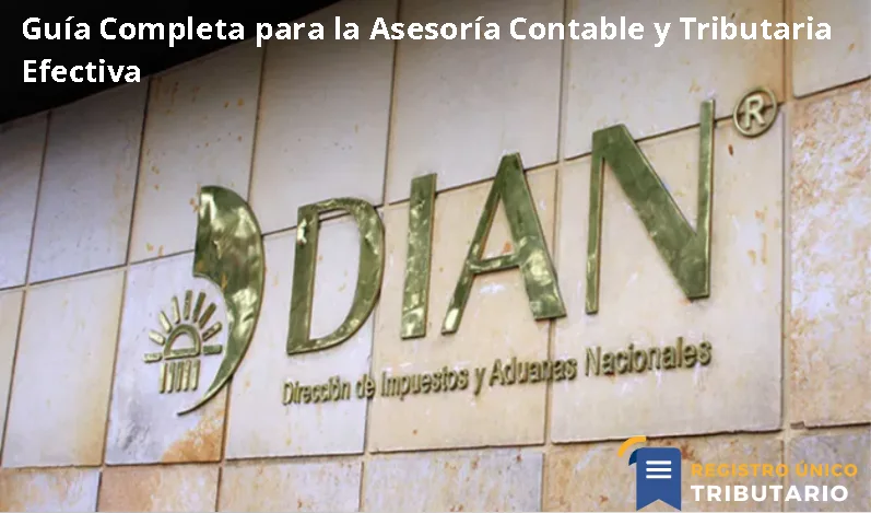 Guía Completa Para La Asesoría Contable Y Tributaria Efectiva
