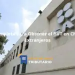 Guía Completa Para Obtener El Rut En Chile Para Extranjeros