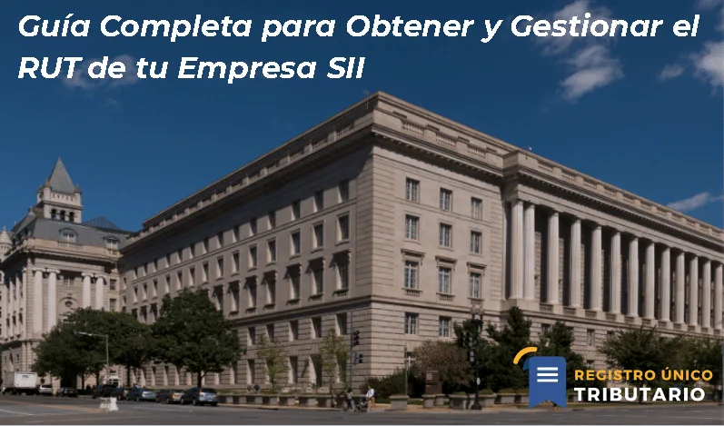 Guía Completa Para Obtener Y Gestionar El Rut De Tu Empresa Sii