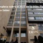 Guía Completa Sobre El Rut En La Dian: Todo Lo Que Necesitas Saber