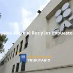Guía Completa Sobre El Rut Y Los Impuestos En Chile