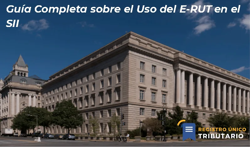 Guía Completa Sobre El Uso Del E Rut En El Sii