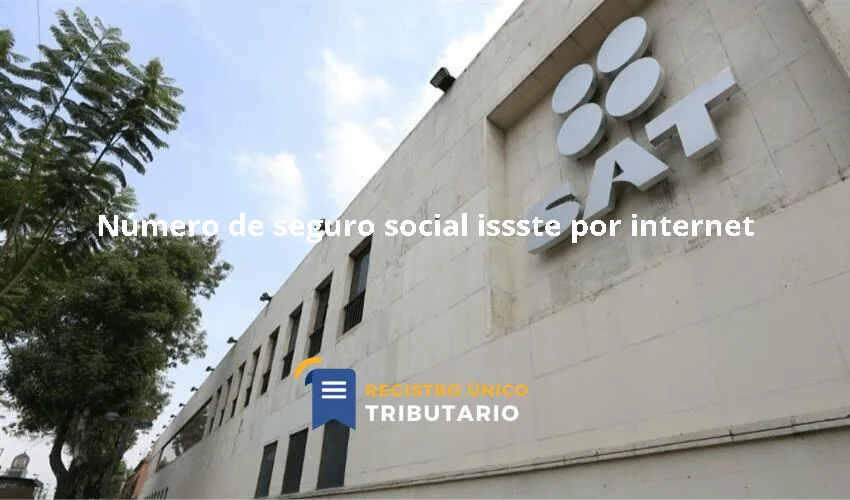 Número De Seguro Social Issste Por Internet