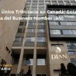 Registro Único Tributario En Canadá: Guía Completa Del Business Number (bn)