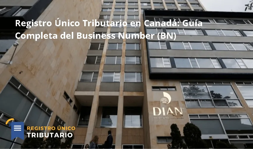 Registro Único Tributario En Canadá: Guía Completa Del Business Number (bn)