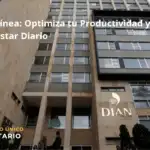 Rut En Línea: Optimiza Tu Productividad Y Mejora Tu Bienestar Diario