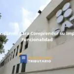 Rut Estado: Claves Para Comprender Su Importancia Y Funcionalidad