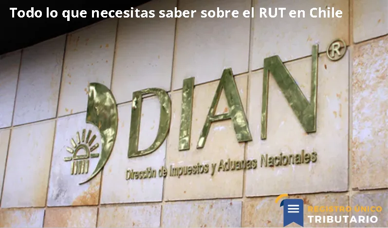 Todo Lo Que Necesitas Saber Sobre El Rut En Chile