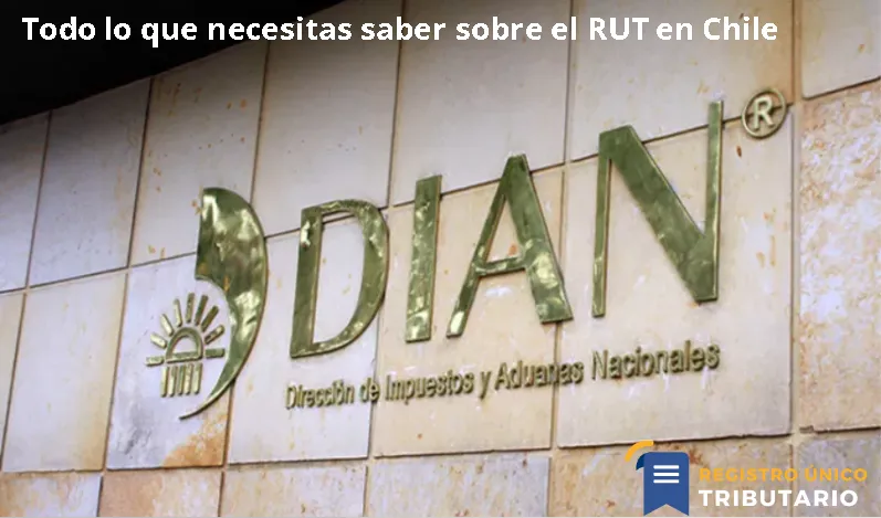 Todo Lo Que Necesitas Saber Sobre El Rut En Chile