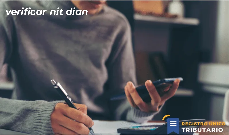 Verificar Nit Dian