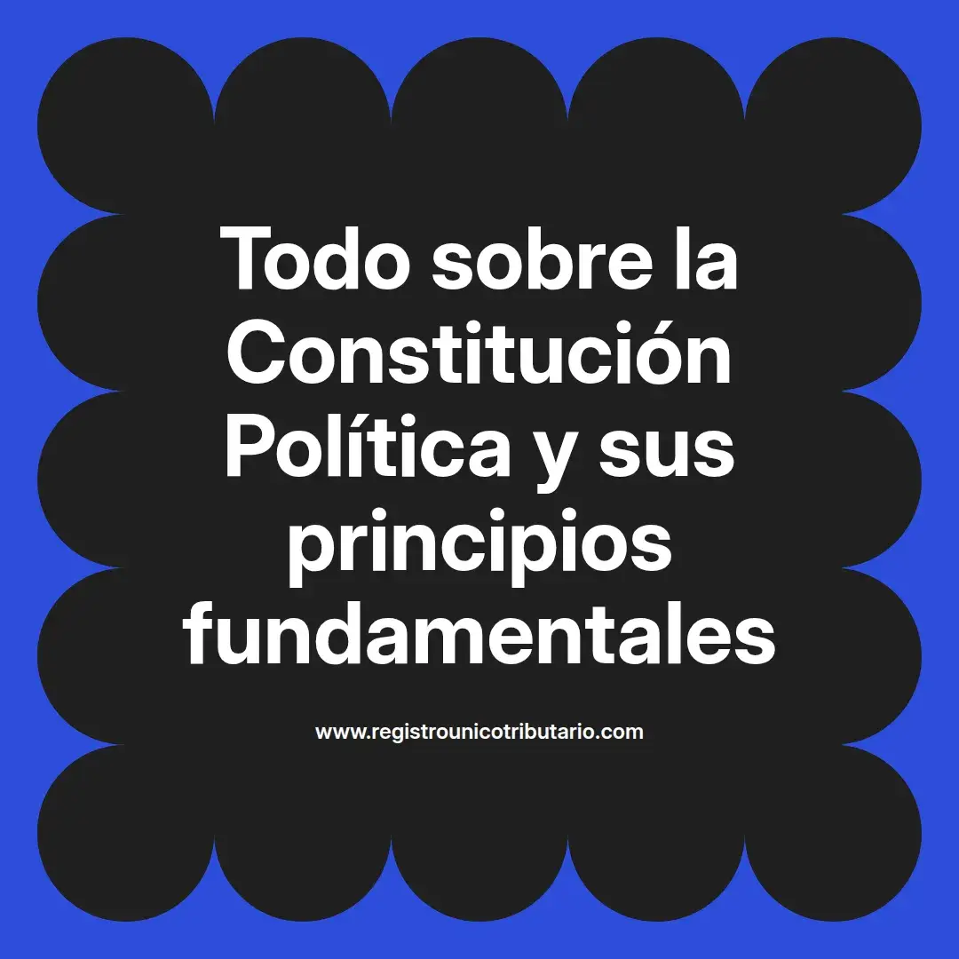 imagen destacada del post con un texto en el centro que dice Todo sobre la Constitución Política y sus principios fundamentales y abajo del texto aparece el url de sitio web que es registro unico tributario punto com
