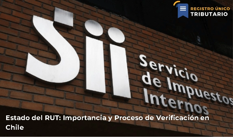 Estado Del Rut: Importancia Y Proceso De Verificación En Chile