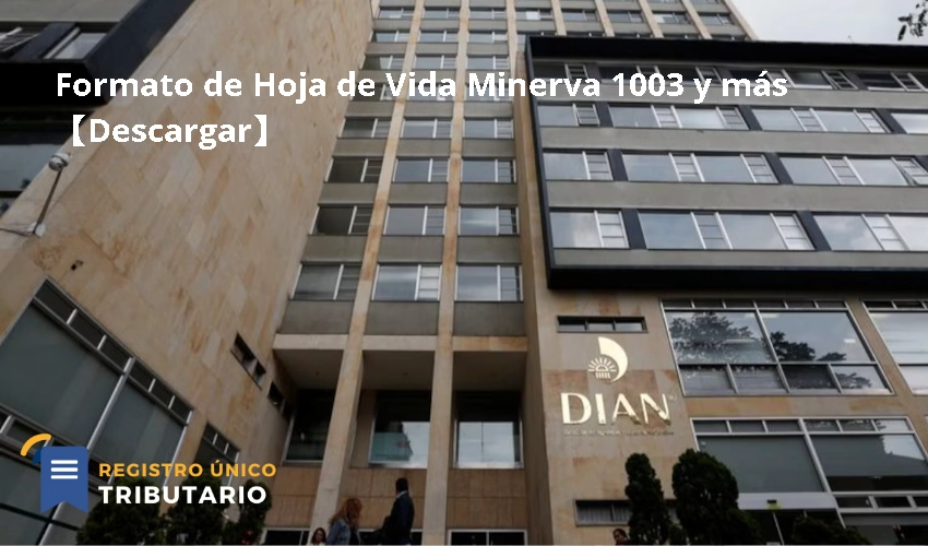 Formato De Hoja De Vida Minerva 1003 Y Más【descargar】