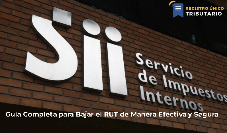 Guía Completa Para Bajar El Rut De Manera Efectiva Y Segura