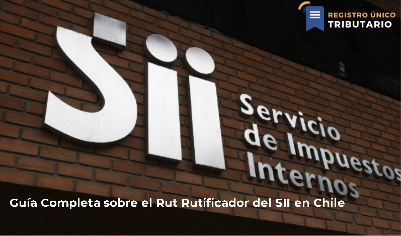Guía Completa Sobre El Rut Rutificador Del Sii En Chile