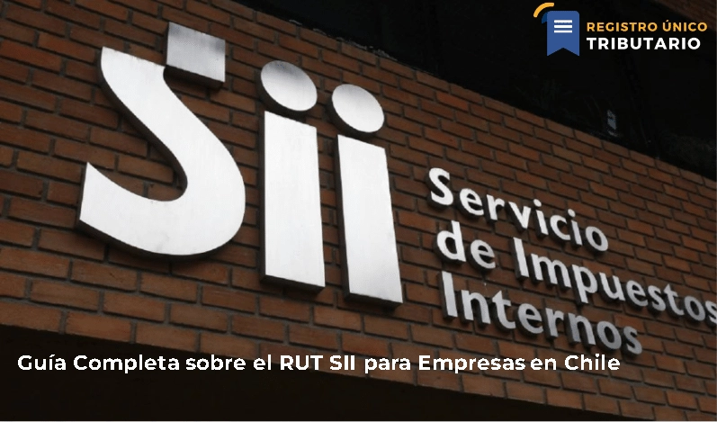 Guía Completa Sobre El Rut Sii Para Empresas En Chile