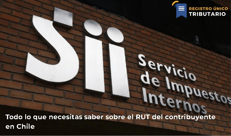 Todo Lo Que Necesitas Saber Sobre El Rut Del Contribuyente En Chile