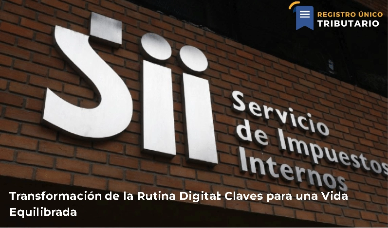 Transformación De La Rutina Digital: Claves Para Una Vida Equilibrada
