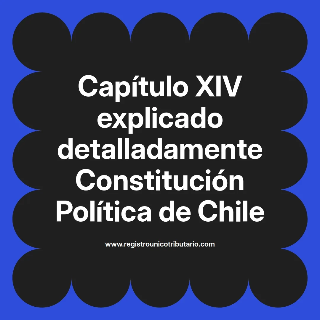 imagen destacada del post con un texto en el centro que dice Capítulo XIV explicado detalladamente Constitución Política de Chile y abajo del texto aparece el url de sitio web que es registro unico tributario punto com