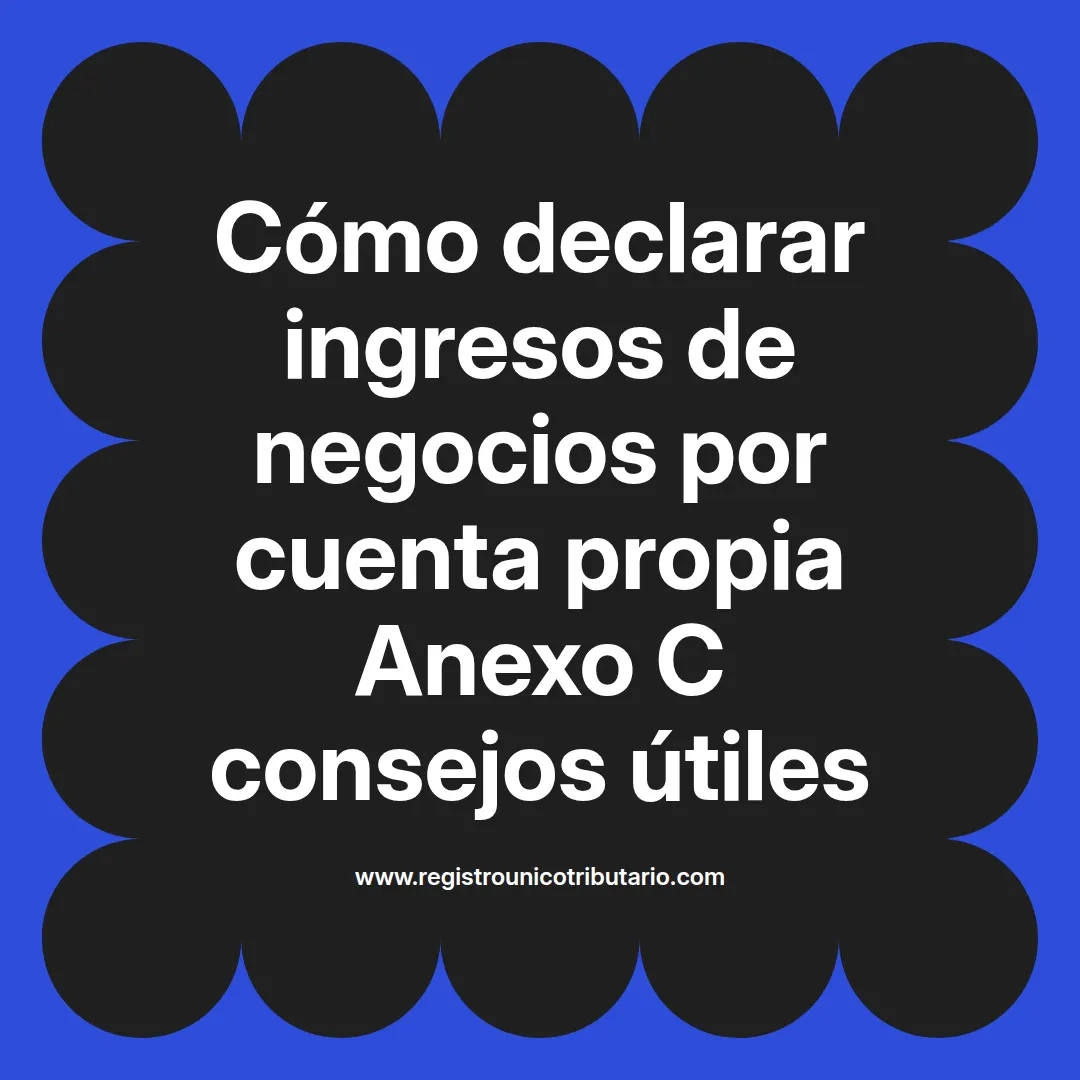 imagen destacada del post con un texto en el centro que dice Cómo declarar ingresos de negocios por cuenta propia Anexo C consejos útiles y abajo del texto aparece el url de sitio web que es registro unico tributario punto com
