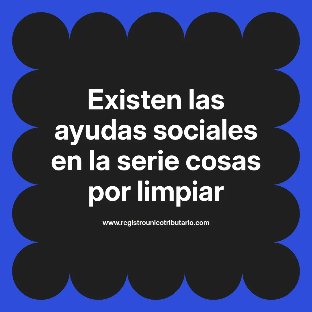 imagen destacada del post con un texto en el centro que dice Existen las ayudas sociales en la serie cosas por limpiar y abajo del texto aparece el url de sitio web que es registro unico tributario punto com