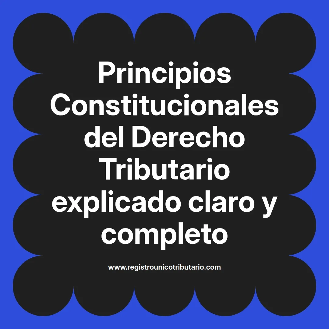 imagen destacada del post con un texto en el centro que dice Principios Constitucionales del Derecho Tributario explicado claro y completo y abajo del texto aparece el url de sitio web que es registro unico tributario punto com