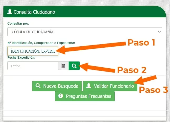 Pasos para realizar la consulta RNMC