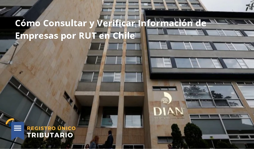 Cómo Consultar y Verificar Información de Empresas por RUT en Chile