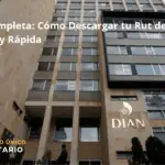 Guía Completa: Cómo Descargar Tu Rut De Manera Sencilla Y Rápida