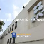 Guía Completa Para Bajar El Rut Actualizado En Chile