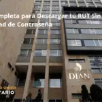 Guía Completa Para Descargar Tu Rut Sin Necesidad De Contraseña