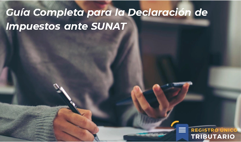 Guía Completa Para La Declaración De Impuestos Ante Sunat